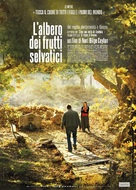 Ahlat Agaci - Italian Movie Poster (xs thumbnail)