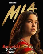 Karate Kid: Legends Poster