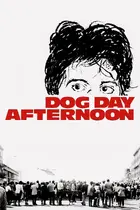 Dog Day Afternoon Cover