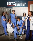 &quot;Grey&#039;s Anatomy&quot; - Indonesian Movie Poster (xs thumbnail)