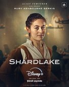 &quot;Shardlake&quot; - Turkish Movie Poster (xs thumbnail)