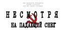 Despite the Falling Snow - Russian Logo (xs thumbnail)