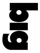 Big - Logo (xs thumbnail)