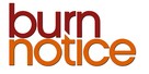 &quot;Burn Notice&quot; - Logo (xs thumbnail)