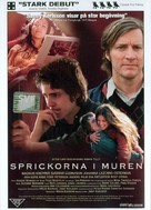 Sprickorna i muren - Swedish DVD movie cover (xs thumbnail)
