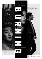 Barn Burning - Norwegian Movie Poster (xs thumbnail)
