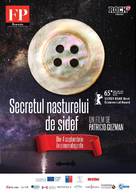 El bot&oacute;n de n&aacute;car - Romanian Movie Poster (xs thumbnail)