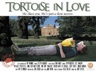 Tortoise in Love - British Movie Poster (xs thumbnail)