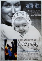 A Cry in the Dark - Turkish Movie Poster (xs thumbnail)