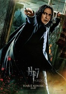 Harry Potter and the Deathly Hallows - Part 2 - Polish Movie Poster (xs thumbnail)