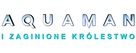 Aquaman and the Lost Kingdom - Polish Logo (xs thumbnail)
