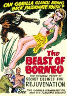 The Beast of Borneo - DVD movie cover (xs thumbnail)