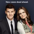 "Bones" Poster