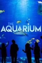 &quot;The Aquarium&quot; - Movie Cover (xs thumbnail)