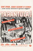 Tarantula Poster