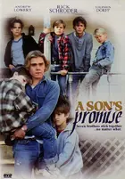 A Son's Promise Cover