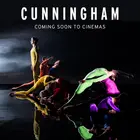 Cunningham - British Movie Cover (xs thumbnail)