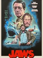 Jaws Custom