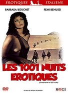 Finalmente... le mille e una notte - French DVD movie cover (xs thumbnail)