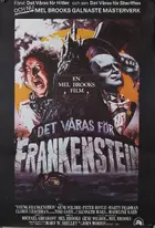 Young Frankenstein Poster