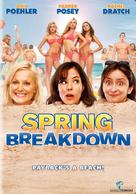 Spring Breakdown - DVD movie cover (xs thumbnail)