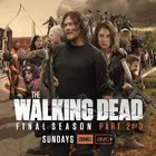 "The Walking Dead" Poster