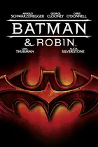 Batman & Robin Cover