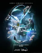 &quot;Super/Natural&quot; - Brazilian Movie Poster (xs thumbnail)