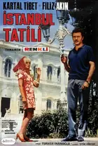 Istanbul tatili Poster