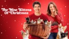 The Nine Kittens of Christmas - Movie Cover (xs thumbnail)