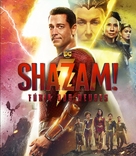 Shazam! Fury of the Gods - Brazilian Movie Cover (xs thumbnail)