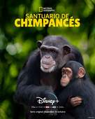 &quot;Meet the Chimps&quot; - Spanish Movie Poster (xs thumbnail)