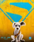 Supergirl Poster
