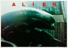 Alien Custom