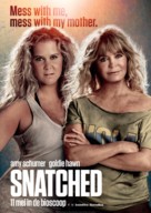 Snatched - Dutch Movie Poster (xs thumbnail)