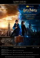 Fantastic Beasts and Where to Find Them - Lithuanian Movie Poster (xs thumbnail)