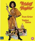 Friday Foster - British Movie Cover (xs thumbnail)