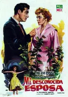 Mi desconocida esposa Poster