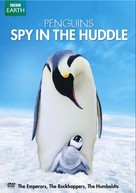 &quot;Penguins: Spy in the Huddle&quot; - DVD movie cover (xs thumbnail)