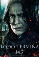 Harry Potter and the Deathly Hallows - Part 2 - Argentinian Movie Poster (xs thumbnail)