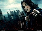 Harry Potter and the Deathly Hallows - Part 1 - Movie Poster (xs thumbnail)