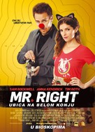 Mr. Right - Serbian Movie Poster (xs thumbnail)