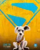 Supergirl Poster