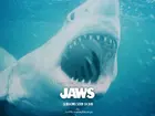 Jaws Poster