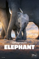 Elephant - Movie Poster (xs thumbnail)