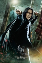 Harry Potter and the Deathly Hallows - Part 2 - Mexican Movie Poster (xs thumbnail)