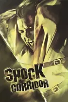Shock Corridor Poster