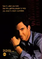 "The Practice" Poster