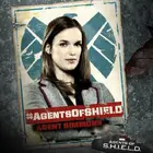 "Agents of S.H.I.E.L.D." Poster