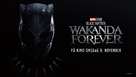 Black Panther: Wakanda Forever - Norwegian Movie Poster (xs thumbnail)